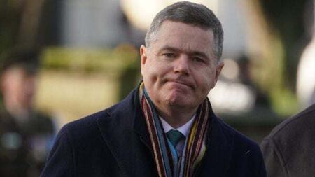 Shrink in multinational sector ‘shows Ireland can’t rely on one part of economy’