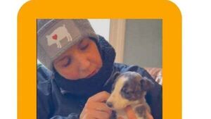 Animal charity rescues puppy being 'traded for drugs' in Dublin city centre