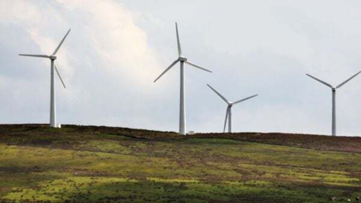 Wind farms supplied 41% of Ireland's electricity in February