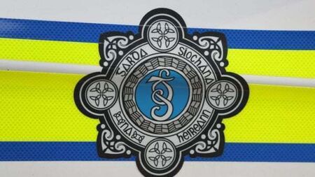 Two people arrested in Dublin in relation to money laundering offences