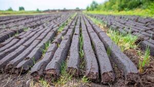 Ireland will take bog conservation ‘massively seriously’, says McConalogue Ireland will take bog conservation ‘massively seriously’, says McConalogue
