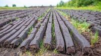 Ireland will take bog conservation ‘massively seriously’, says McConalogue
