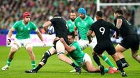 Ireland to face New Zealand and Australia during autumn series