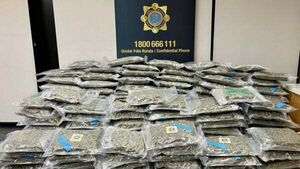 Gardaí arrest man after cannabis worth €3.2m found in vehicle on M50 Gardaí arrest man after cannabis worth €3.2m found in vehicle on M50