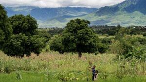 Irish aid worker: Malawi faces existential threat due to climate change Irish aid worker: Malawi faces existential threat due to climate change