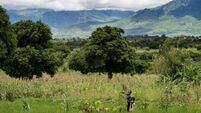 Irish aid worker: Malawi faces existential threat due to climate change