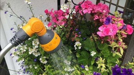 Tracking device was used to trace stolen flower baskets to woman's home, court hears