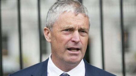 Sinn Féin denies U-turn on hate speech legislation despite previous support