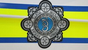 Man arrested over seizure of drugs worth €80,000 in Limerick Man arrested over seizure of drugs worth €80,000 in Limerick