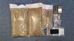 Cannabis worth €85,000 seized and 10 arrested during major operation in Co Wexford Cannabis worth €85,000 seized and 10 arrested during major operation in Co Wexford