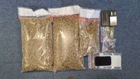Cannabis worth €85,000 seized and 10 arrested during major operation in Co Wexford