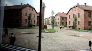 Filming The Tattooist Of Auschwitz ‘took its toll on everyone’, says actress