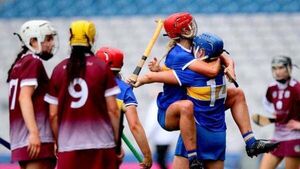 Sunday sport: Tipperary claim Division 1A title, Toulouse take last Champions Cup SF spot