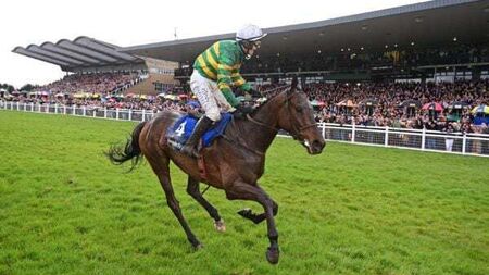 I Am Maximus to get official welcome home after Grand National victory