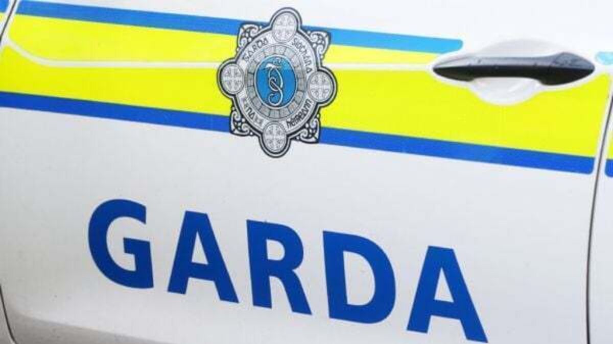 Two men arrested in connection with thefts across Dublin
