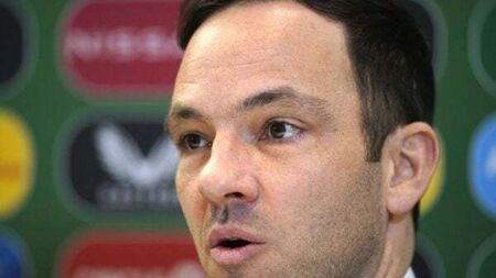 Search for new Ireland manager could now stretch into September