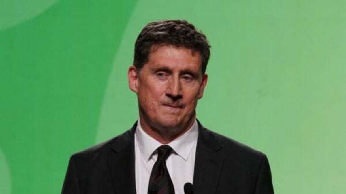 Eamon Ryan criticised for Ireland’s intervention in Swiss group’s climate case