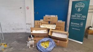 Cigarettes and tobacco worth over €160,000 seized at Dublin Port Cigarettes and tobacco worth over €160,000 seized at Dublin Port