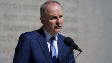 Tánaiste says democracy under threat in face of ‘militancy’