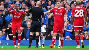 Howard Webb admits Forest should have had at least one penalty against Everton