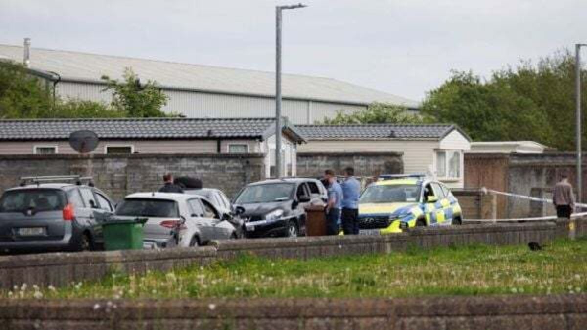 'This is just a pure tragedy': Families in mourning as infant boy killed in Clare