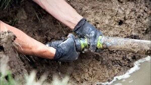 Nearly half of tested septic tanks failed inspections in 2023 Nearly half of tested septic tanks failed inspections in 2023