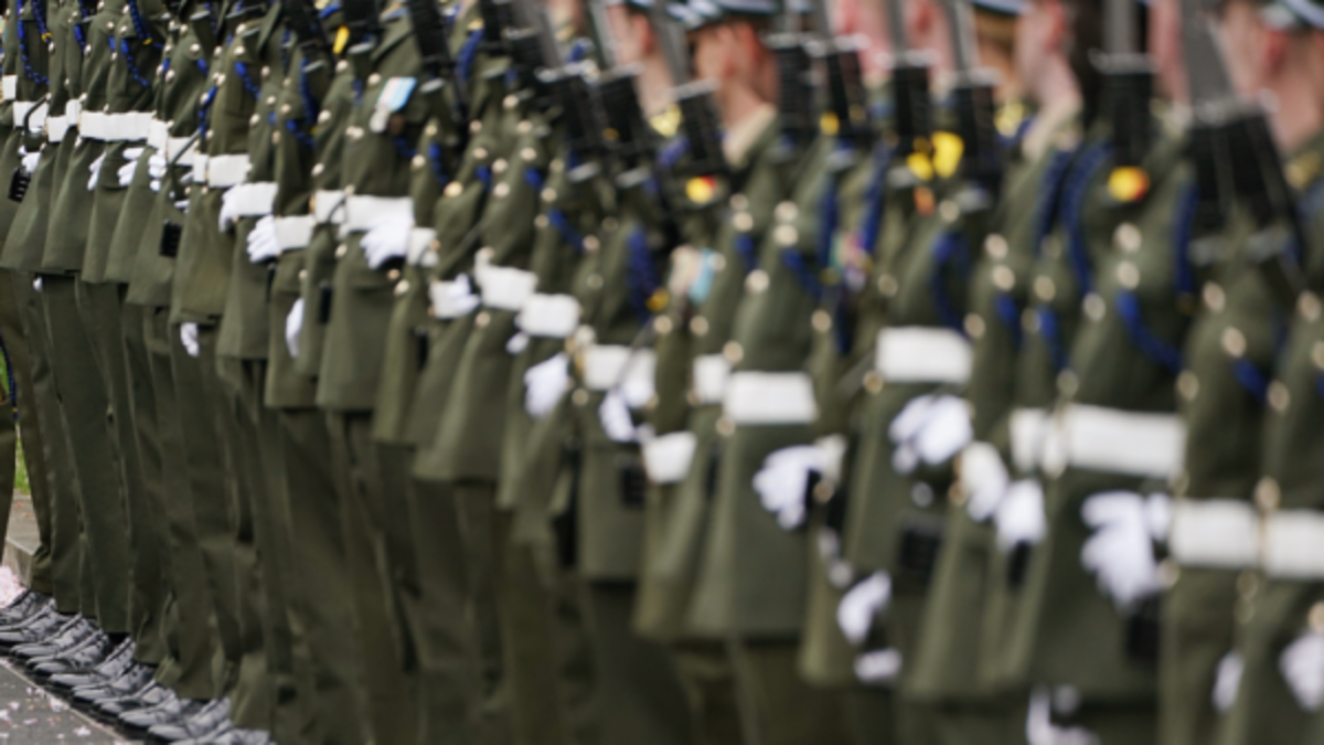 Defence Forces prohibition on soldiers attending protests unconstitutional, court rules