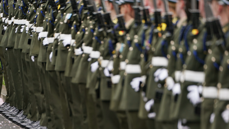 Defence Forces prohibition on soldiers attending protests unconstitutional, court rules