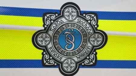 Two people arrested after submachine gun seized in Dublin