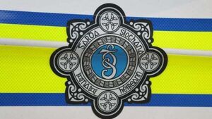 Two people arrested after submachine gun seized in Dublin Two people arrested after submachine gun seized in Dublin