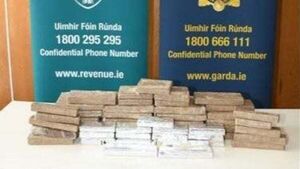 Man arrested after €660,000 of cannabis seized in Dublin Man arrested after €660,000 of cannabis seized in Dublin