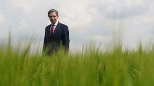 No need to reduce cattle numbers to hit carbon emissions target – Taoiseach