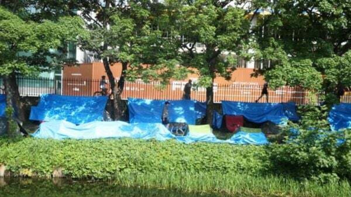Tent clearance underway along Grand Canal in Dublin