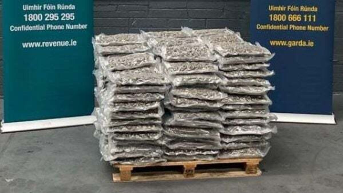 Two arrested after cannabis worth €2.1m seized