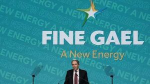 Fine Gael candidate drops out of local elections after planning allegations Fine Gael candidate drops out of local elections after planning allegations