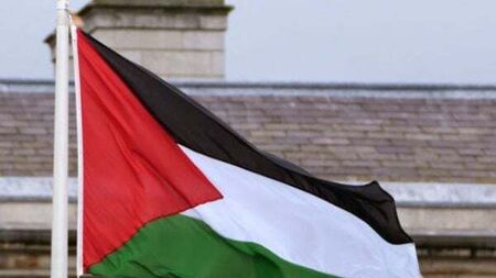 Palestinian flag taken down from Leinster House