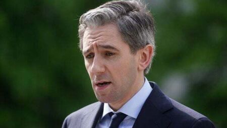 No change to election timing on back of opinion poll boost, Taoiseach insists