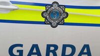 Operation Thor: 23 people arrested in Dublin in connection with organised crime