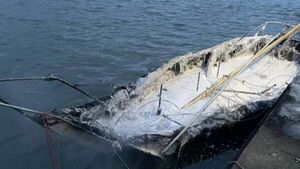 Three arrested after boat burned out amid row over Tricolour flag Three arrested after boat burned out amid row over Tricolour flag