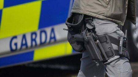 Pitbull terrier shot by gardaí after attacking people in Cork