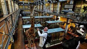 Natural History Museum to close for extensive building conservation works Natural History Museum to close for extensive building conservation works