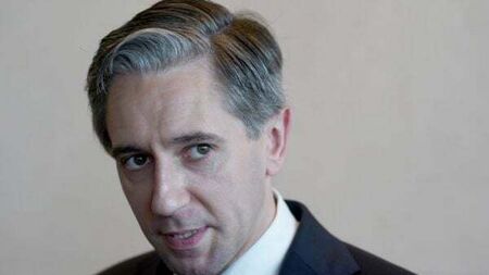 Taoiseach praises woman beaten unconscious by soldier for ‘speaking out’