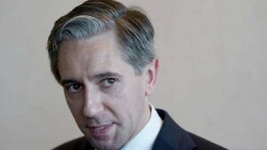 Taoiseach praises woman beaten unconscious by soldier for ‘speaking out’ Taoiseach praises woman beaten unconscious by soldier for ‘speaking out’