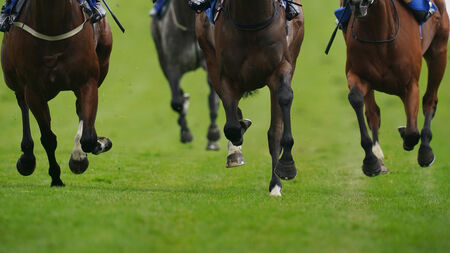 Fr Paddy Byrne: RTÉ Prime Time documentary was deeply disturbing