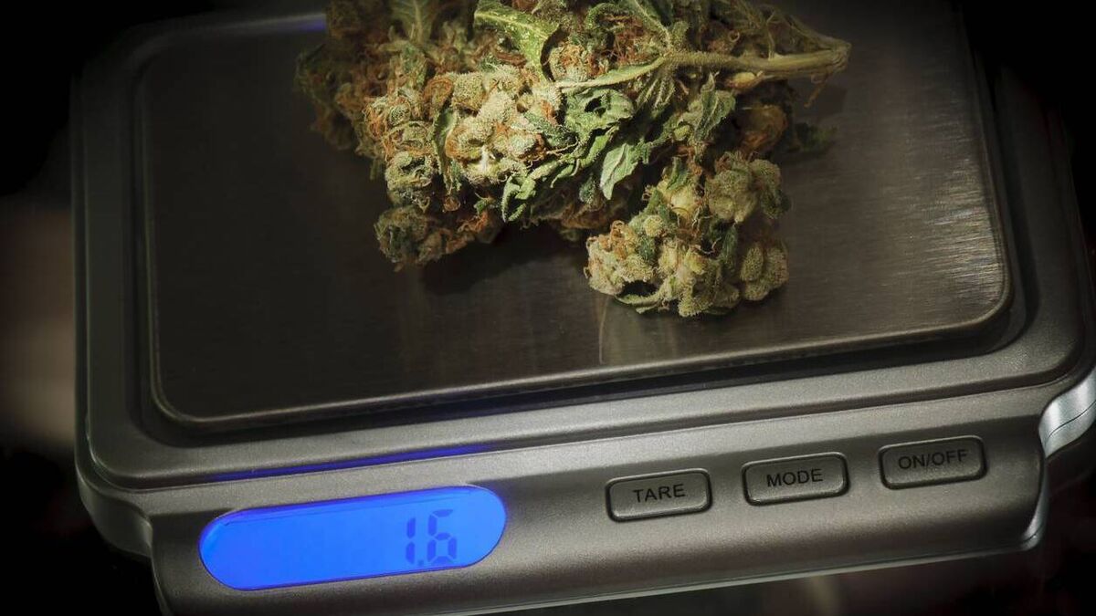 Carlow teenager admits having cannabis for sale 