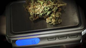 Carlow teenager admits having cannabis for sale 