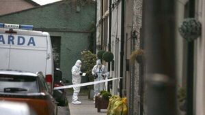 Bloodstained woman who was found naked on street told garda: 'I killed my mother' Bloodstained woman who was found naked on street told garda: 'I killed my mother'