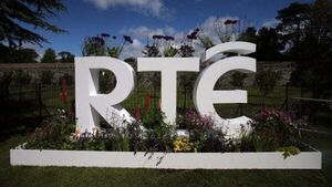 'Palpable' dissatisfaction among public over severance packages at RTÉ – Media Committee chair 'Palpable' dissatisfaction among public over severance packages at RTÉ – Media Committee chair
