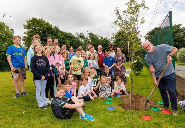 Martin Duffy plants a tree to mark his retirement as a teacher and principal at Nurney NS Photos: michaelorourkephotography.ie
