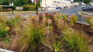 Carlow town rolls out the red carpet for Friday's Entente Florale visit 